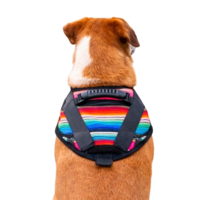 Arnés FLOMM Pets Style