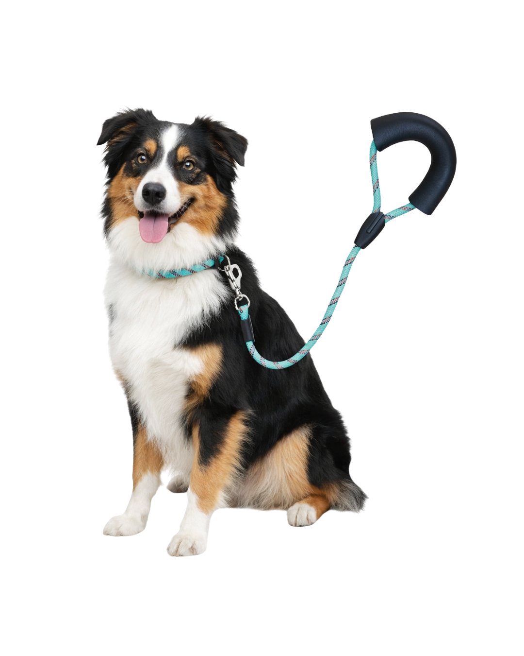 Correas para paseo de perro