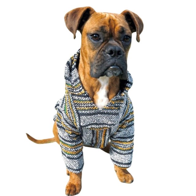 Jerguitas FLOMM Pets Style