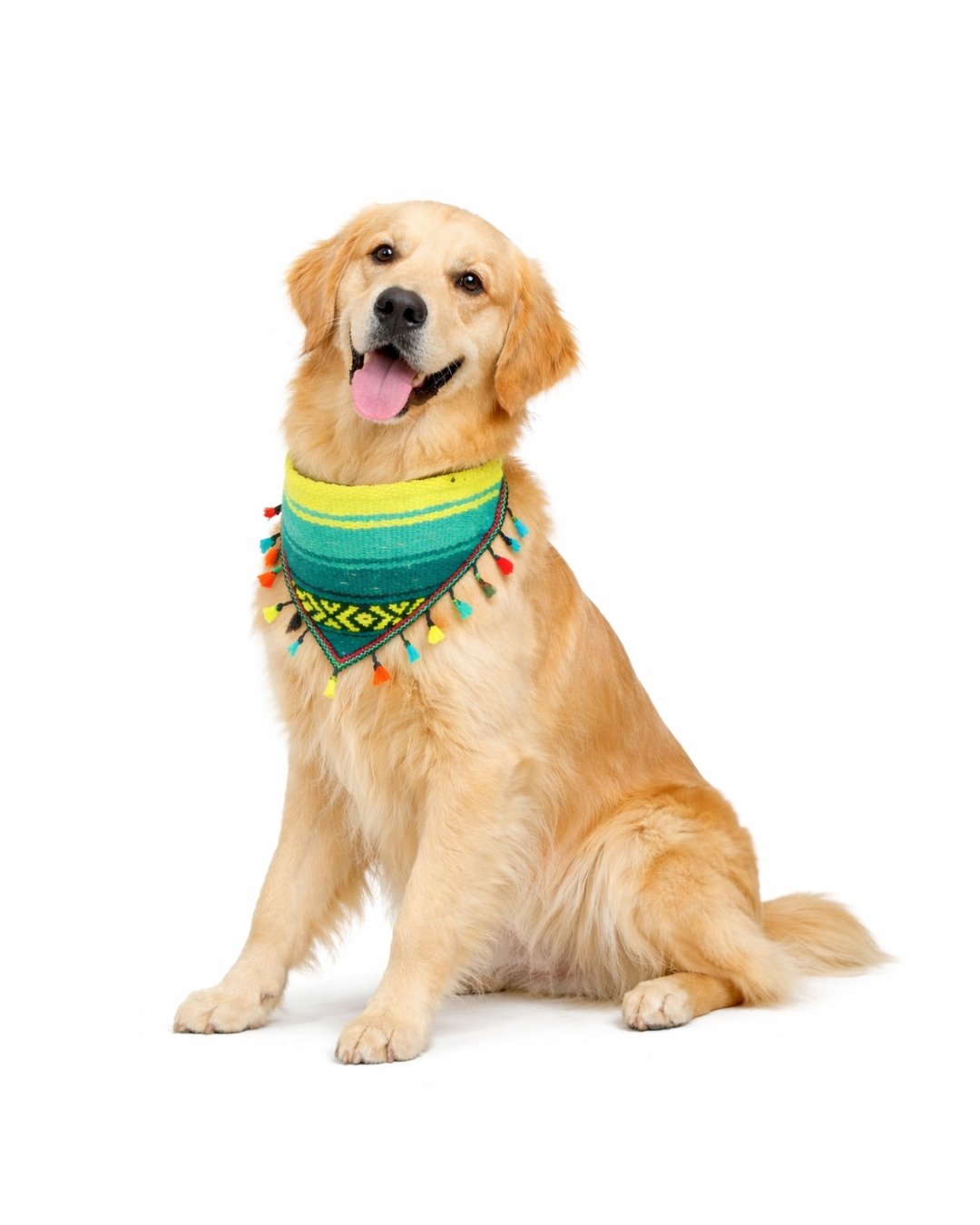 Perriacates para perro (accesorios de paseo)