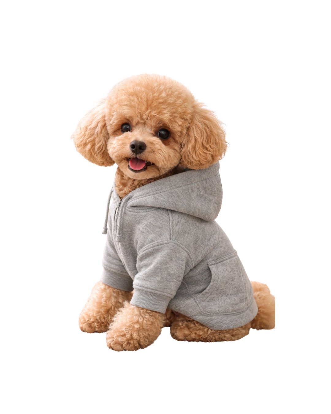 Sudadera FLOMM Pets Style